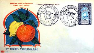 TIMBRES 1 ER JOUR (151)